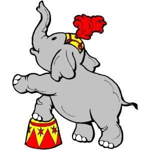Un elefantino al circo equestre (fonte:Libri, cinema, arte,…