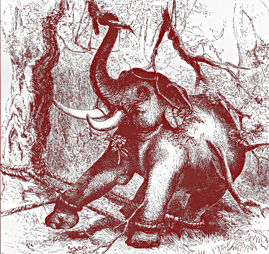 Sir J. Emerson Tennent, Elefante Intrappolato (Sketches of…
