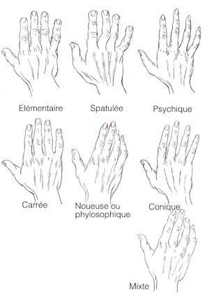 Vari tipi di mano secondo D'Arpentigny (fonte:www.rouillier…