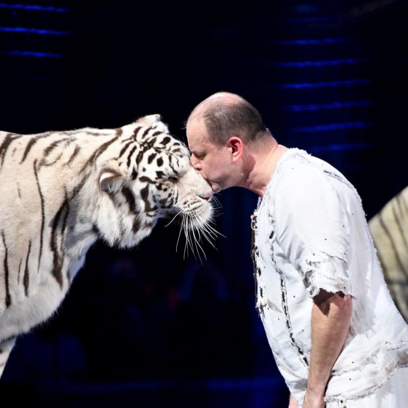 Sergey Nesterov e una delle cinque tigri bianche che lavorano con lui (fonte: circusfan.eu).